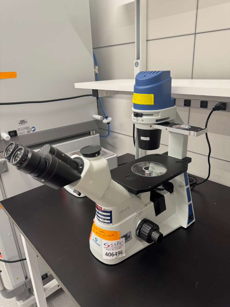 Image of Accu-Scope EXI-310 Inverted Microscope